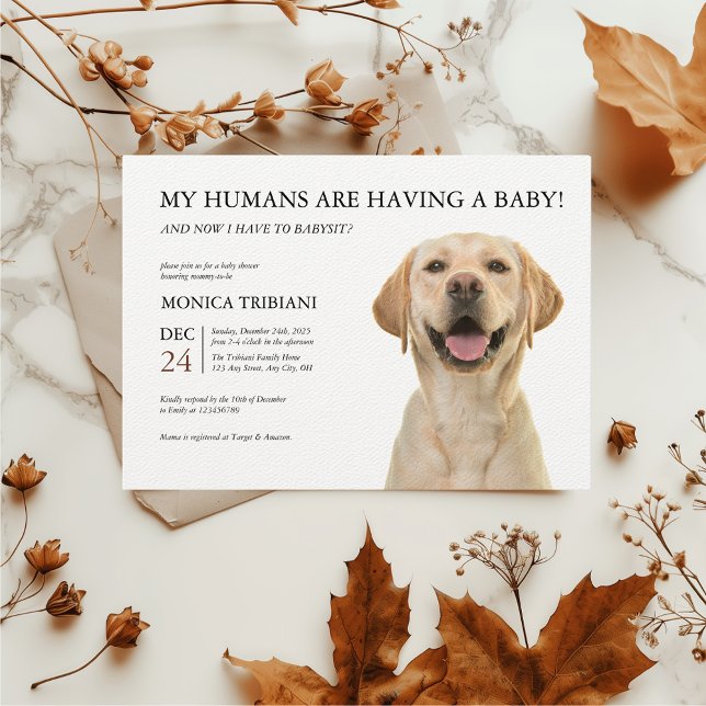 Gult Labrador Retriever Baby Shower Minimalist Inbjudningar (Yellow Labrador Retriever Baby Shower Funny Invitation)