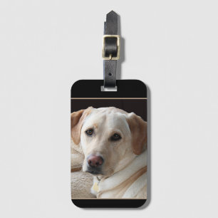 Gult Labrador Retriever Bagagebricka