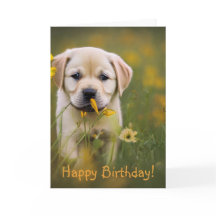 Gult Labrador Retriever Birthday Card