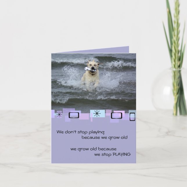 Gult Labrador Retriever Birthday Greeting Card Kort (Framsida)