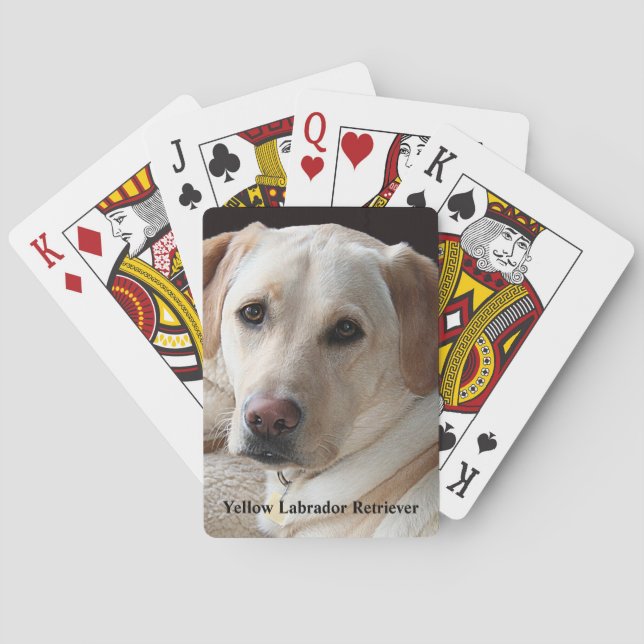 Gult Labrador Retriever Casinokort (Baksidan)