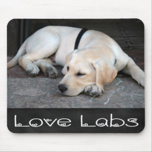 Gult Labrador Retriever Chalkboard Mousepad Musmatta