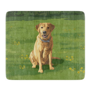 Gult Labrador Retriever Hund
