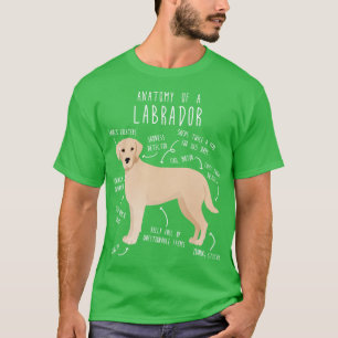 Gult Labrador Retriever Hund Anatomy 1 T Shirt