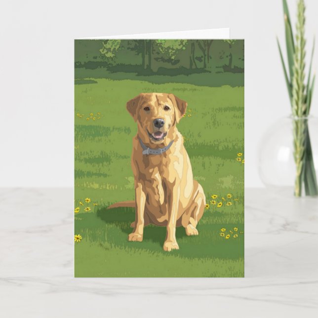 Gult Labrador Retriever Hund Kort (Framsida)