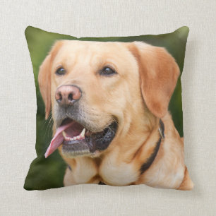 Gult Labrador Retriever Hund - Lab Kudde