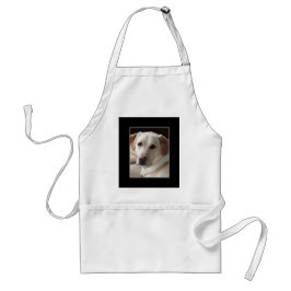 Gult Labrador Retriever Hund Photo on Apron Förkläde