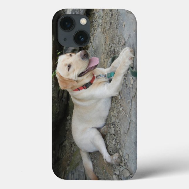 Gult Labrador Retriever iPhone 8 Fodral (Baksida)
