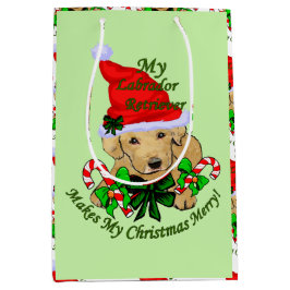 Gult Labrador Retriever-jul