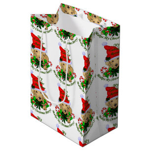 Gult Labrador Retriever-jul