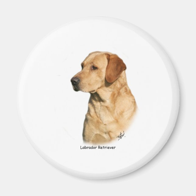 Gult Labrador Retriever Magnet (Framsidan)