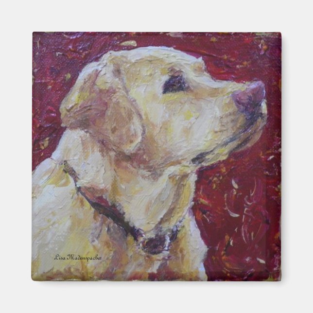 Gult Labrador Retriever Magnet (Framsidan)
