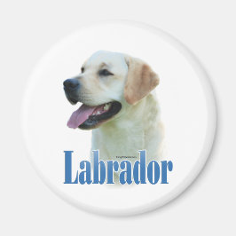 Gult Labrador Retriever Namn - Magnet