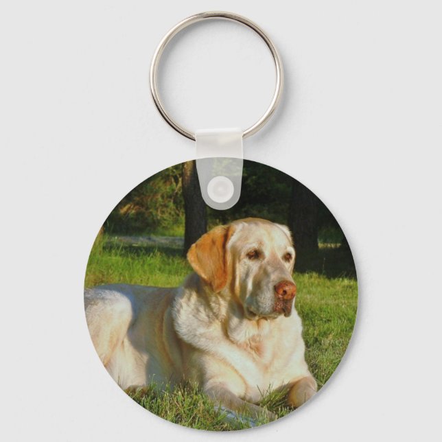 Gult Labrador Retriever Nyckelring (Framsida)
