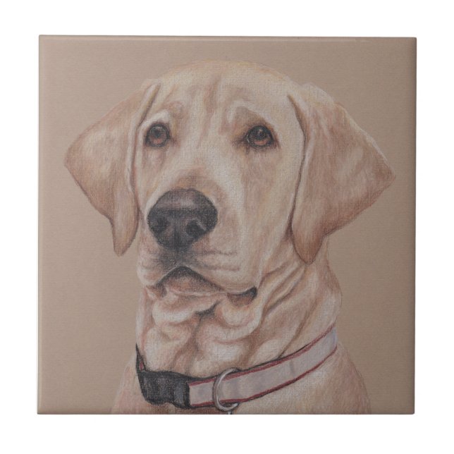 Gult Labrador Retriever Pet Hund Art Ceramic Tile Kakelplatta (Framsidan)
