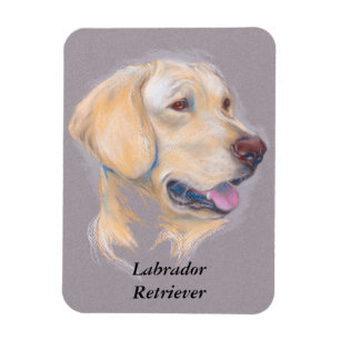 Gult Labrador Retriever Porträtt Magnet