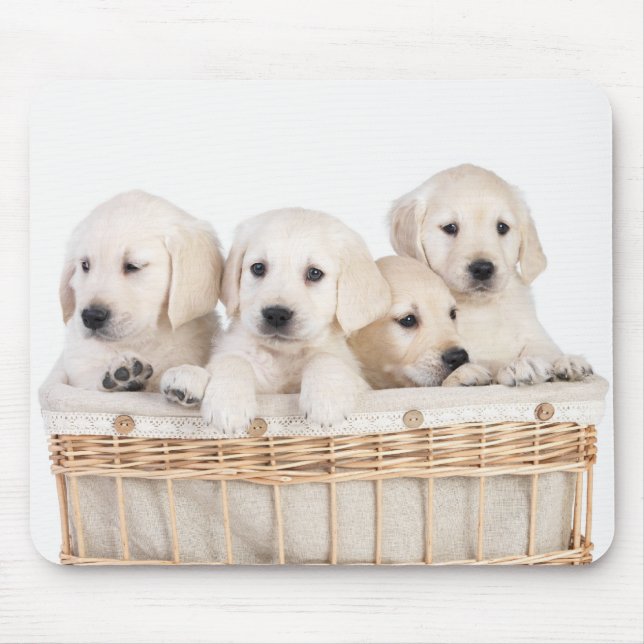 Gult Labrador Retriever Puppies Mousepad Musmatta (Framsidan)