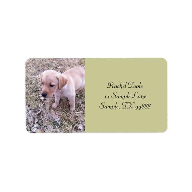 Gult Labrador Retriever Puppy-Adressetiketter Adressetikett (Framsidan)