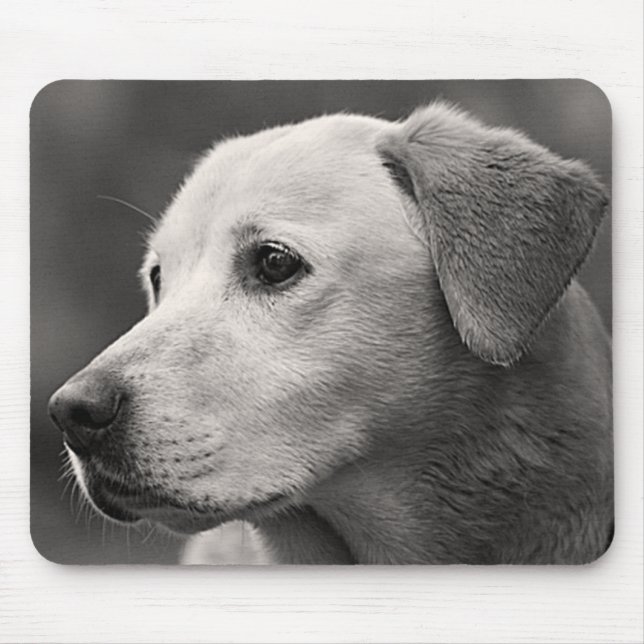 Gult Labrador Retriever Puppy Hund Mousepad Musmatta (Framsidan)