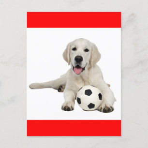 Gult Labrador Retriever Puppy Hund Postcard Vykort
