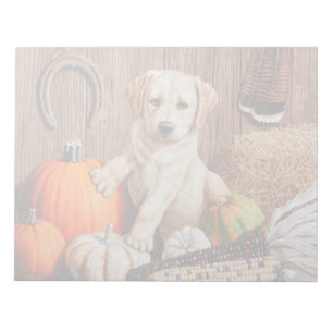 Gult Labrador Retriever Puppy Hund Pumpkin Höst Anteckningsblock