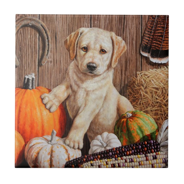 Gult Labrador Retriever Puppy Hund Pumpkin Höst Kakelplatta (Framsidan)