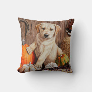 Gult Labrador Retriever Puppy Hund Pumpkin Höst Kudde
