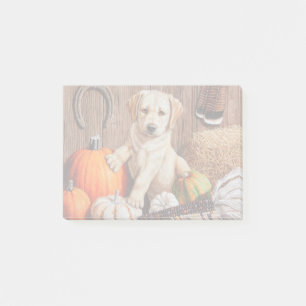 Gult Labrador Retriever Puppy Hund Pumpkin Höst Post-it Block