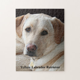 Gult Labrador Retriever Pussel