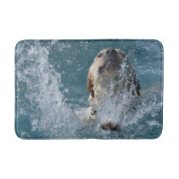 Gult Labrador Retriever Swimming