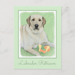 Gult Labrador Retriever & Tennis Bollar Painting Vykort