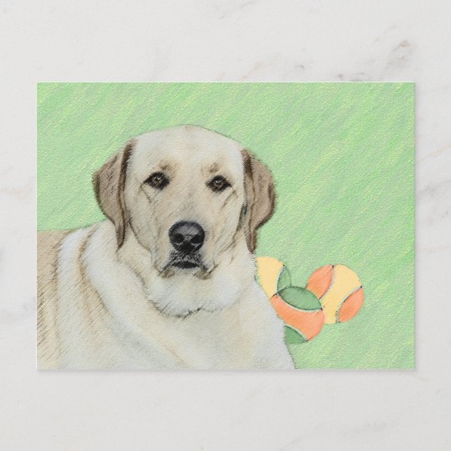 Gult Labrador Retriever & Tennis Bollar Painting Vykort (Framsida)