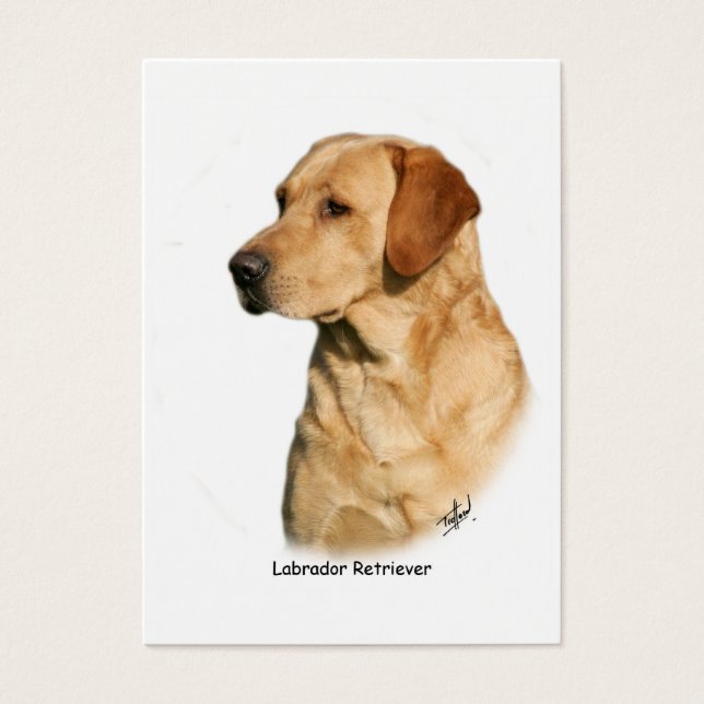 Gult Labrador Retriever Visitkort (Framsidan)