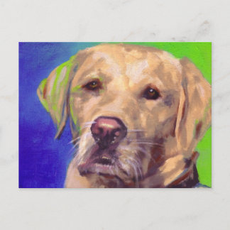 Gult Labrador Retriever Vykort