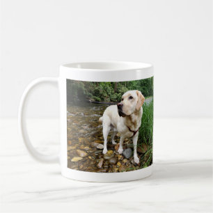 Gult Labrador Retrif dosa stadigt Kaffemugg