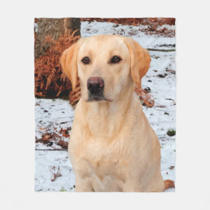Gult Labrador - Snö Hund - Gul lab Fleecefilt