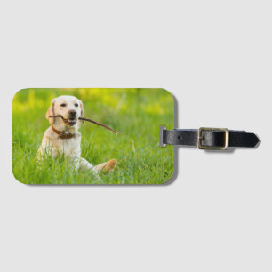 Gult Labrador spelas med penna Bagagebricka