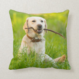 Gult Labrador spelas med penna Kudde