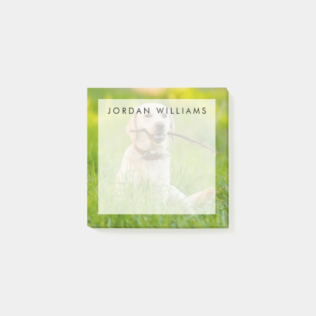 Gult Labrador spelas med penna Post-it Block (Framsida)