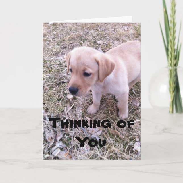 Gult Labrador Tankar på ditt kort (Framsida)