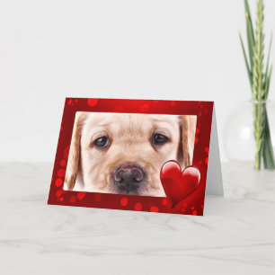 Gult Labrador Valentine Puppy Helgkort