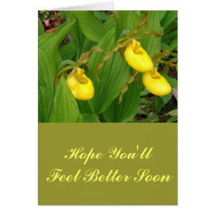 "GULT LADYSLIPPERS" /BLOMMIGT PHOTOG OBS KORT