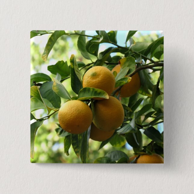 Gult Lemons på Träd Knapp (Framsida)