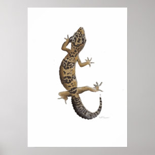 Gult leopard gecko poster
