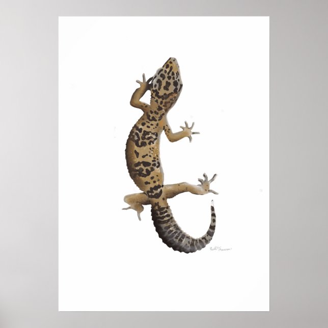 Gult leopard gecko poster (Framsidan)