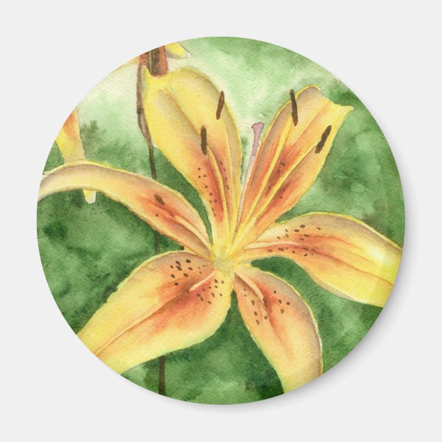 Gult lever i trädgården magnet (Framsidan)