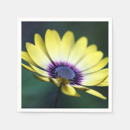 Gult Lila Center Pappersservett