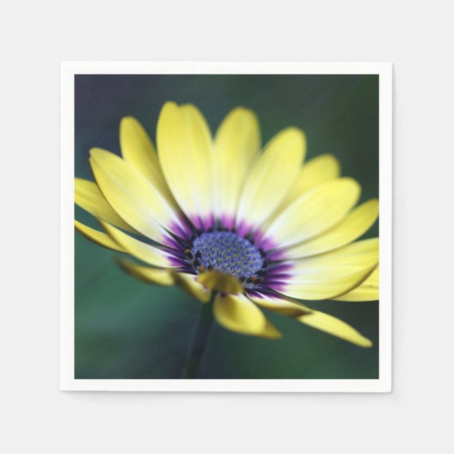 Gult Lila Center Pappersservett (Framsidan)