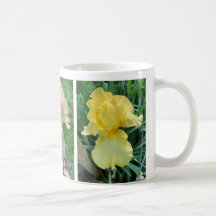 Gult Lila Rosa Iris Elegant Photo Mugg