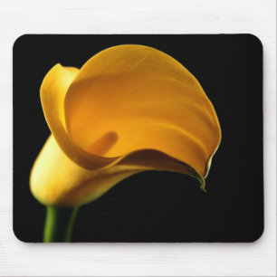 Gult Lilly Flower Blommigt Söt Elegant Musmatta